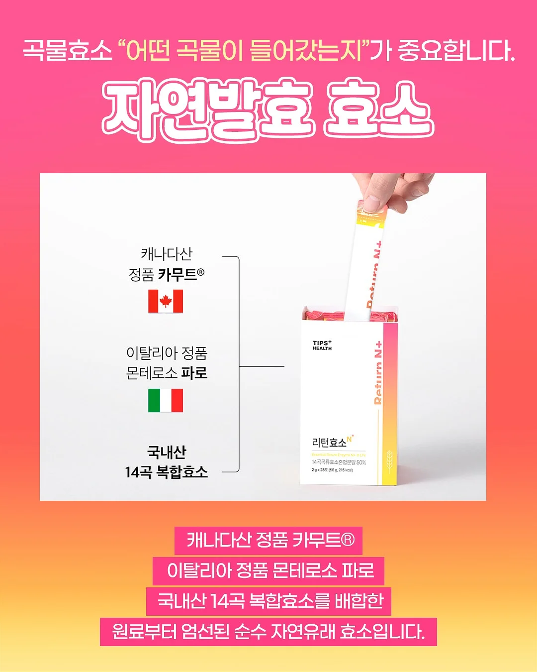 목걸이 12