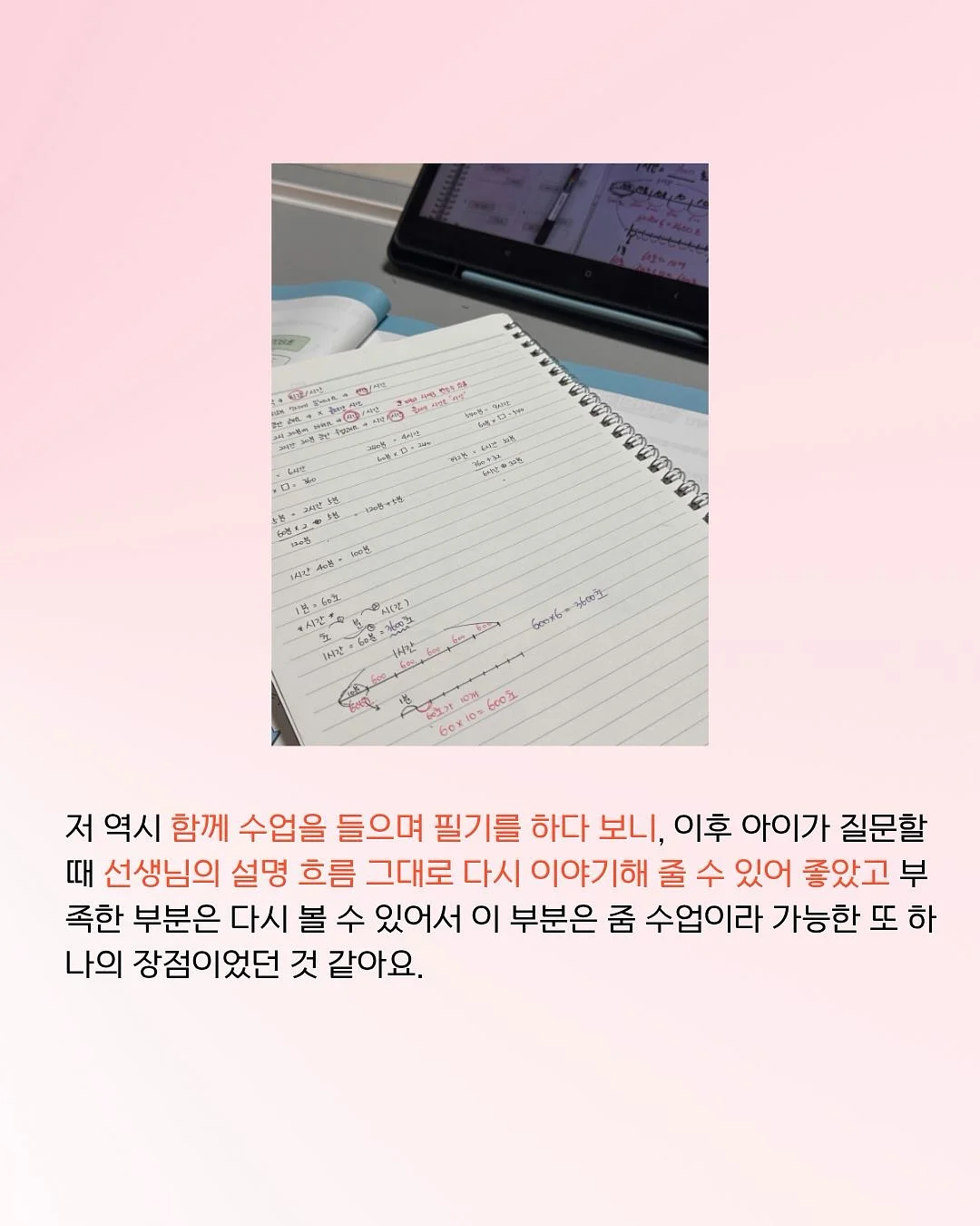 져지 6