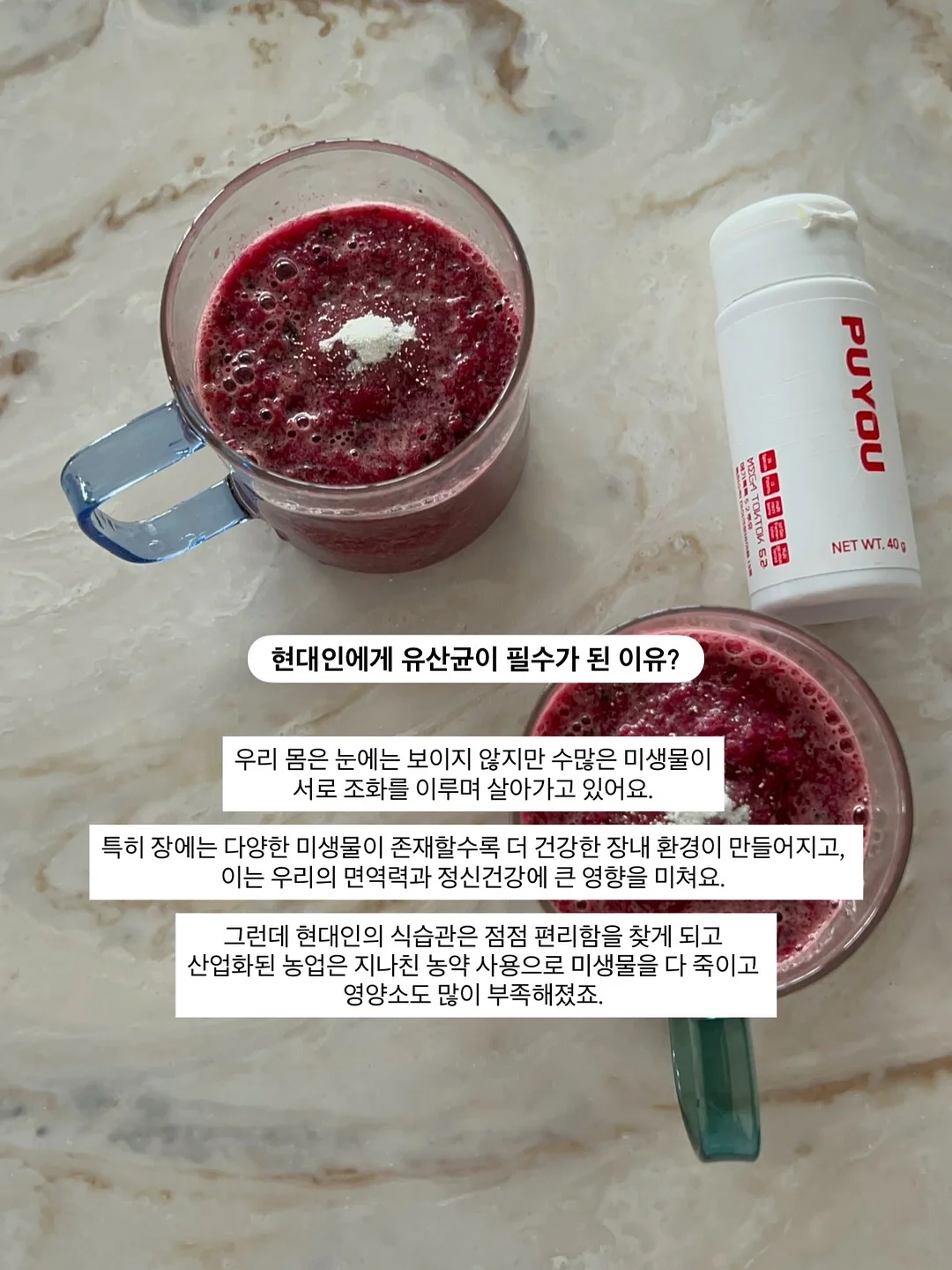 카네이션 화분포트 2