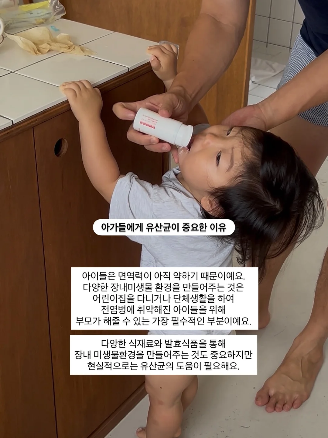 카네이션 화분포트 3