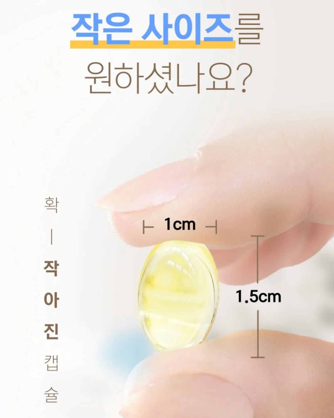 이본 괄사 6
