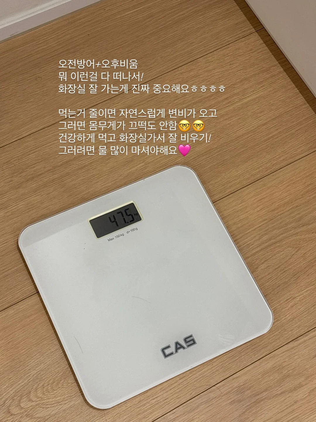 양가죽 제니 더로백 5