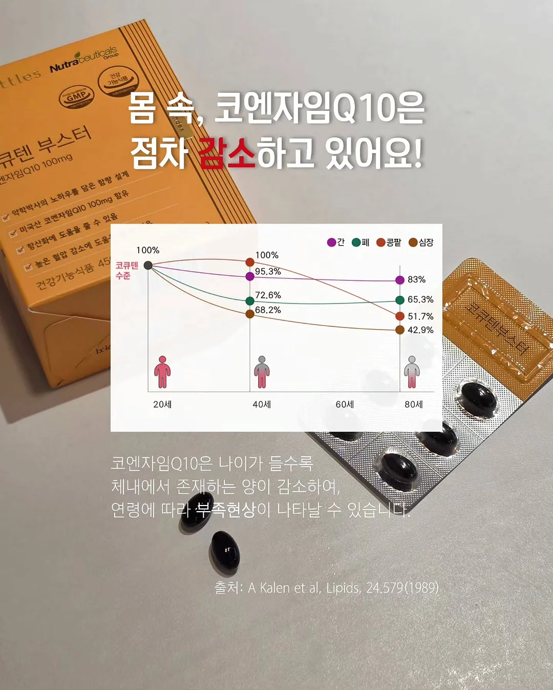 메지루시 5
