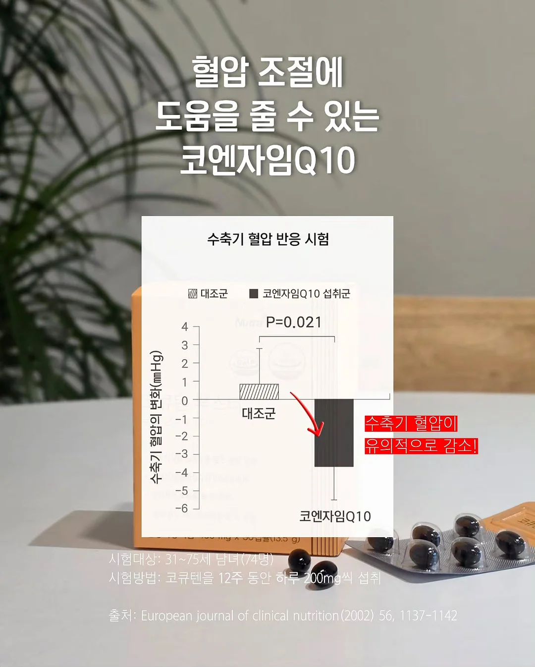 메지루시 6