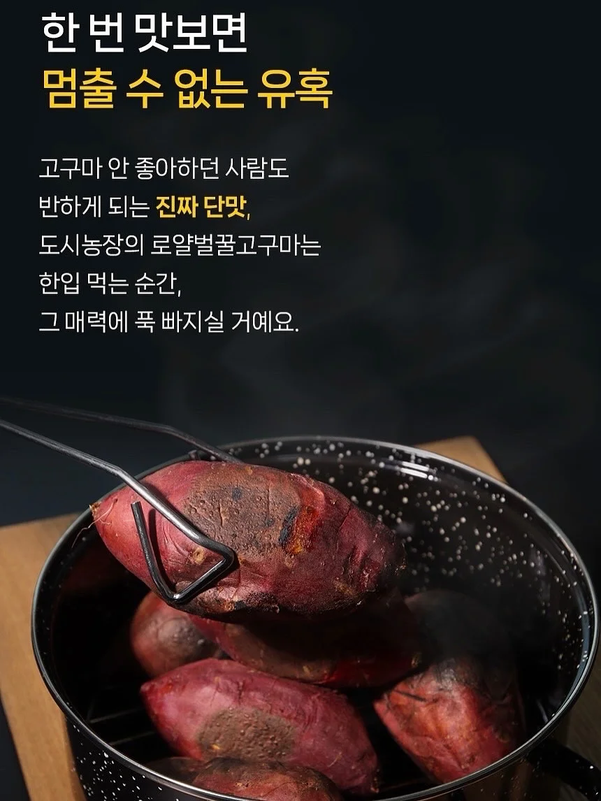 사계절 코바늘 플라워 13