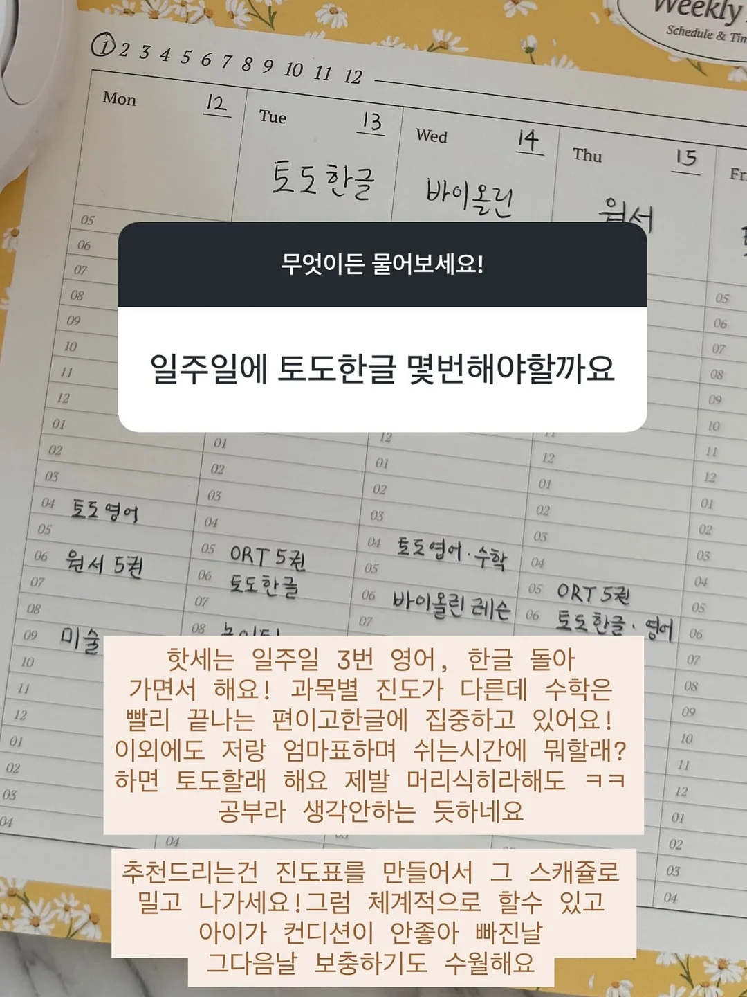 제이델링 시그니처 과일폭탄 케이크 4