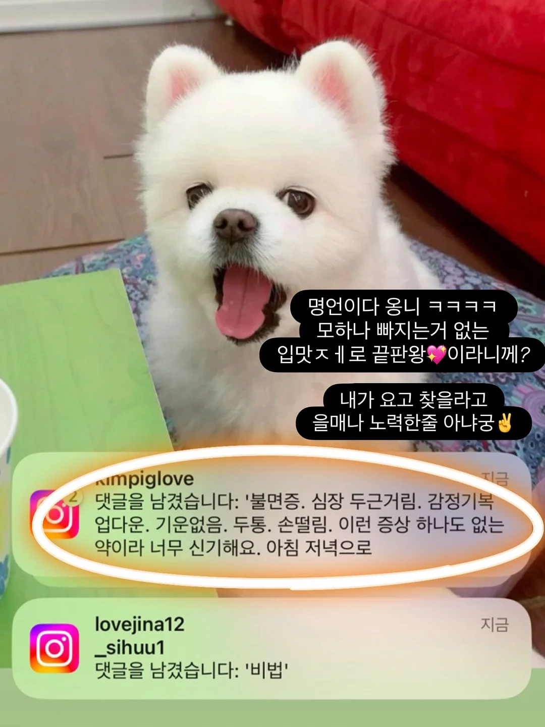 정부지원금 12