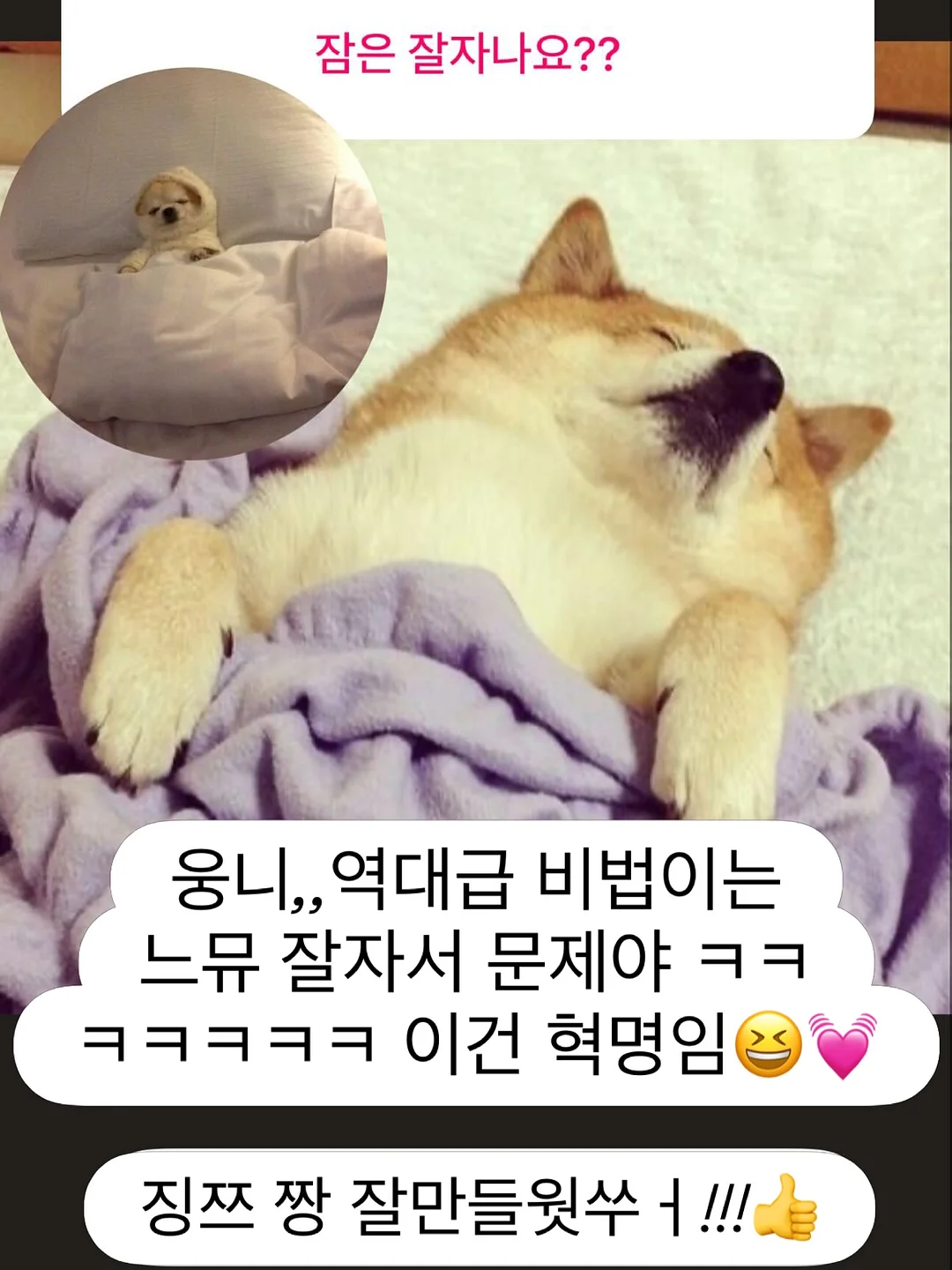 정부지원금 17