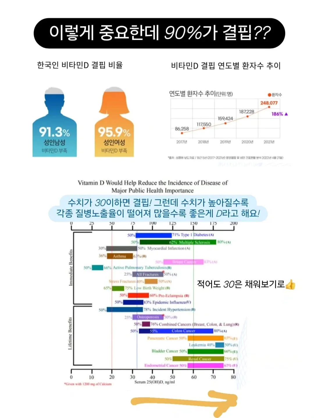 초당 옥수수 키쉬 6