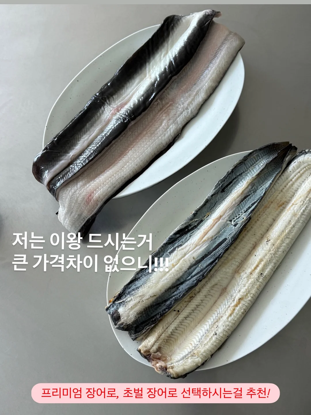 커스텀 폴더 아이콘 5