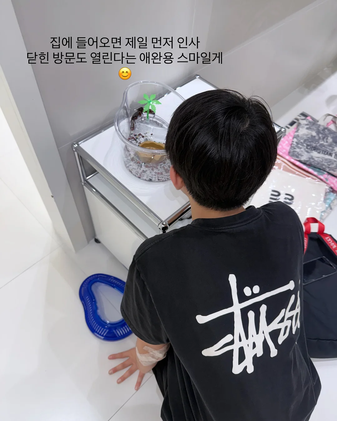 백조호접과 시그니처 장미 꽃다발 11