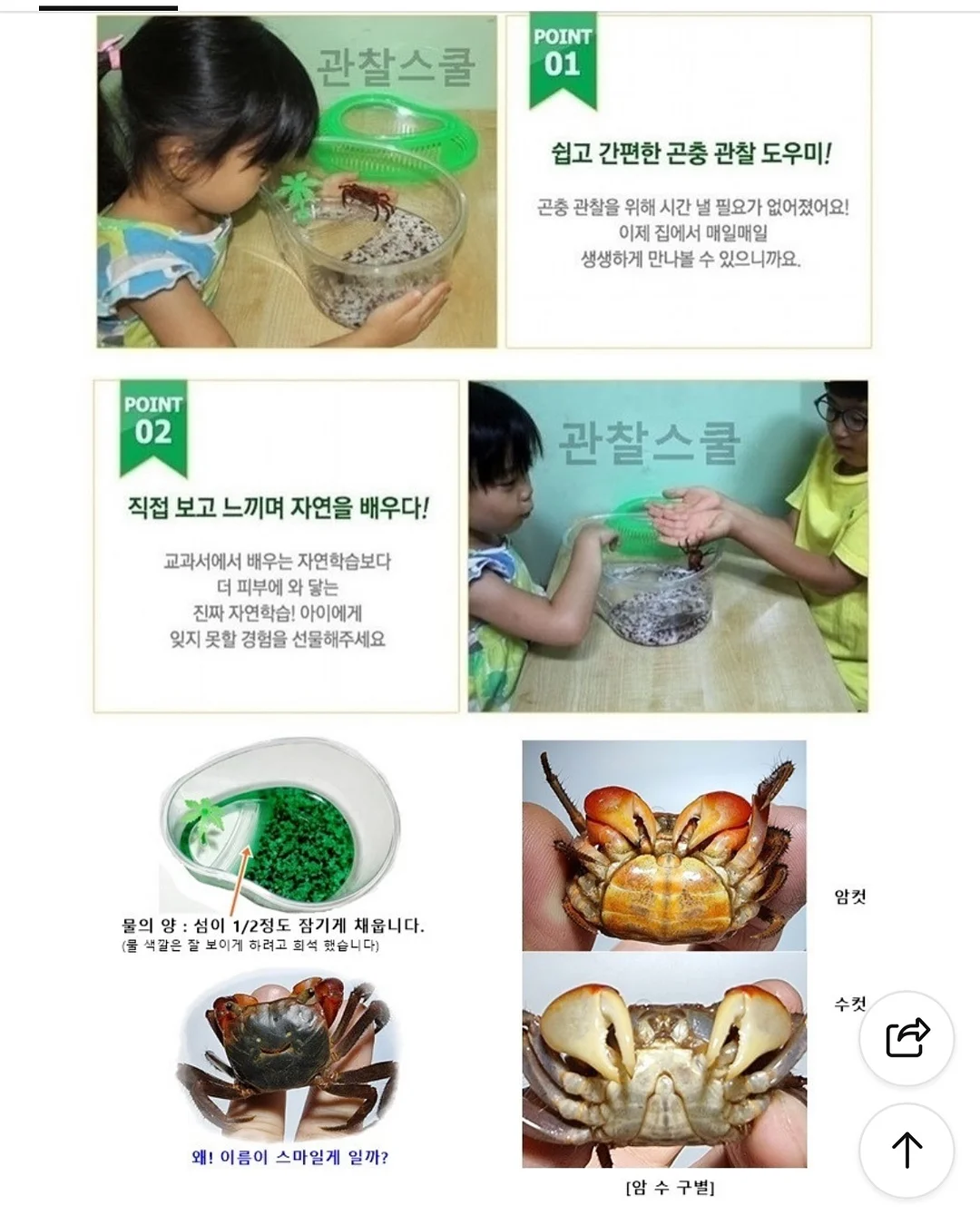 백조호접과 시그니처 장미 꽃다발 15