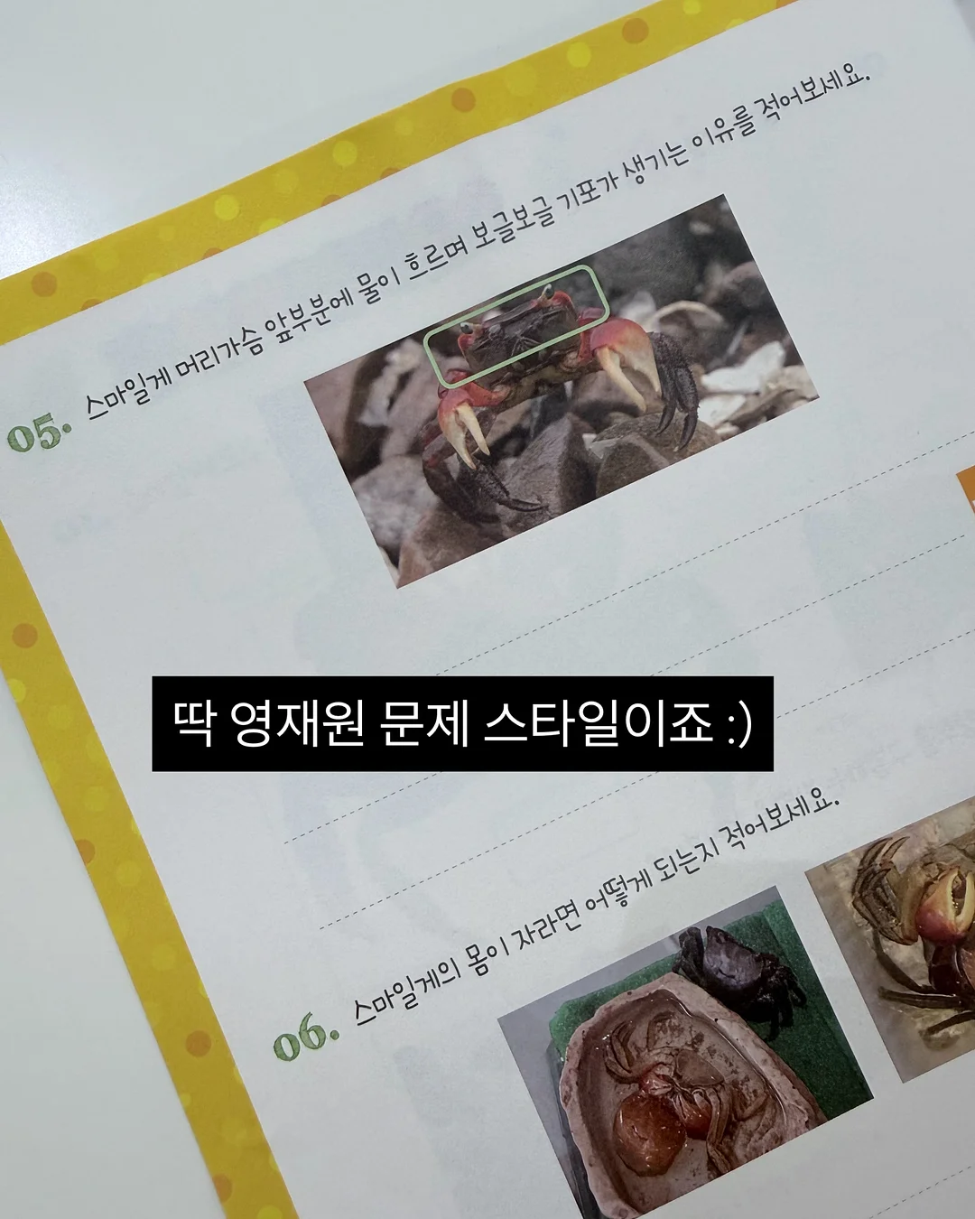 백조호접과 시그니처 장미 꽃다발 18