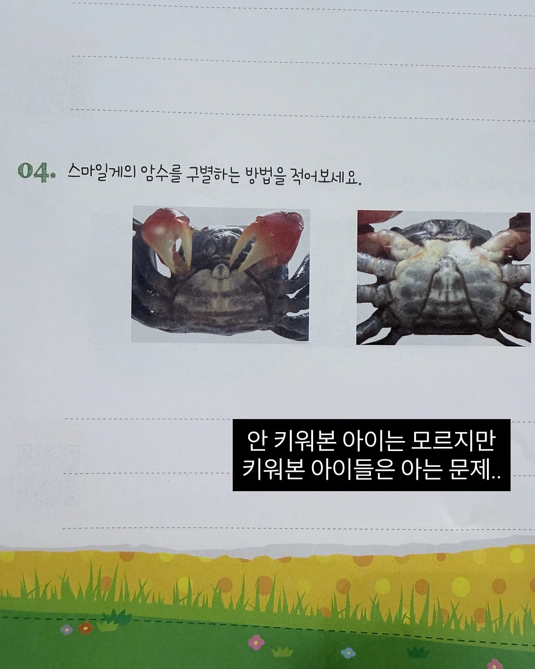 백조호접과 시그니처 장미 꽃다발 19