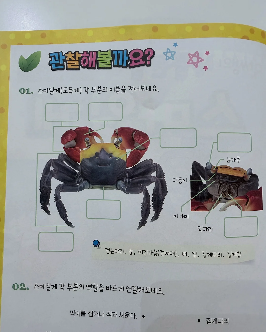백조호접과 시그니처 장미 꽃다발 20