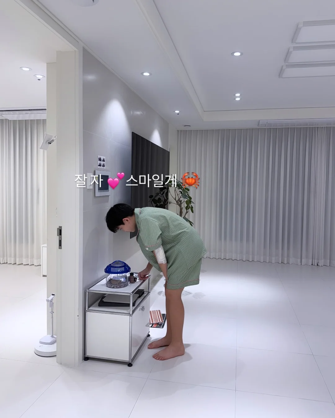 백조호접과 시그니처 장미 꽃다발 9