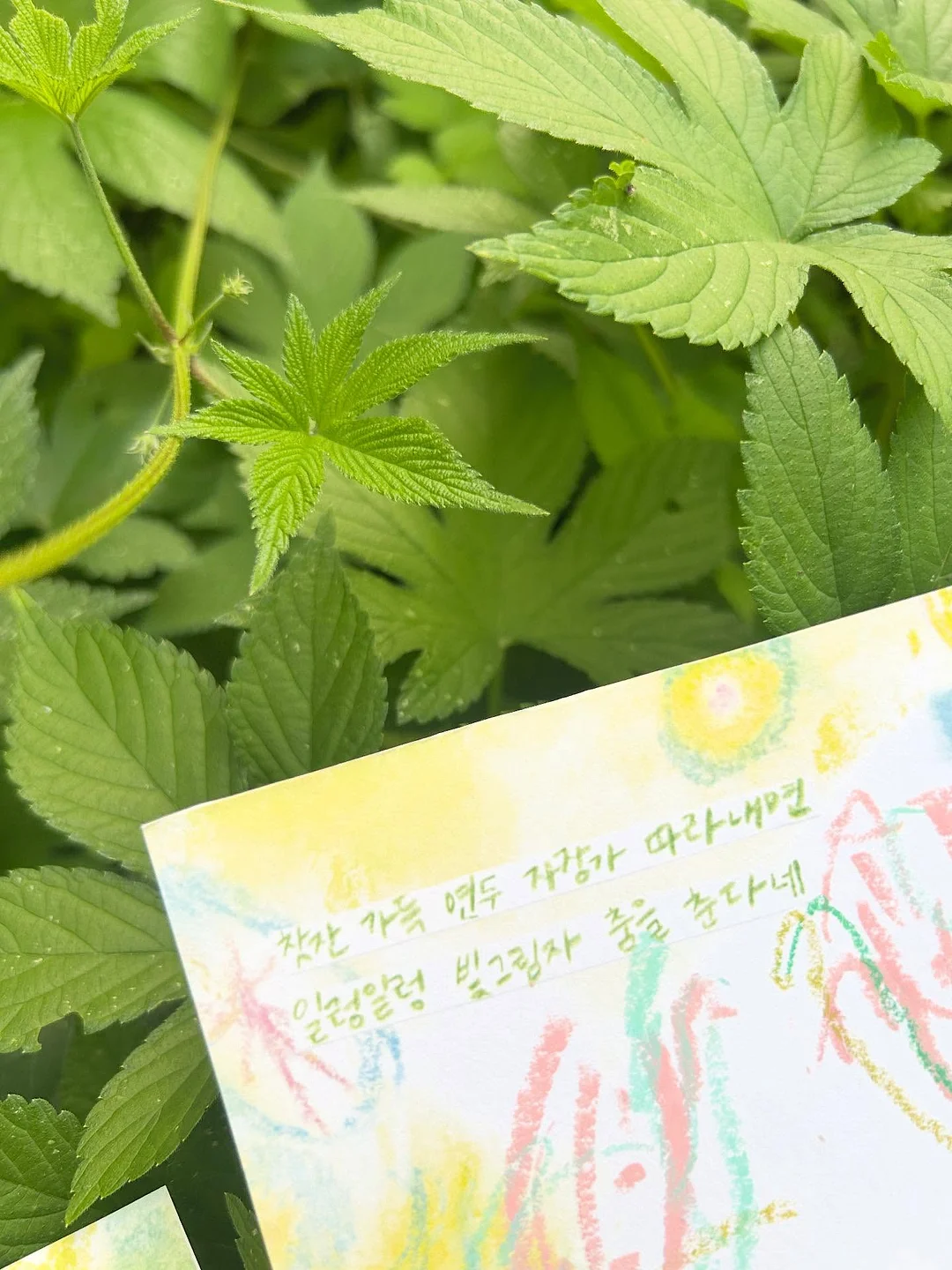 더퀸워싱티 5