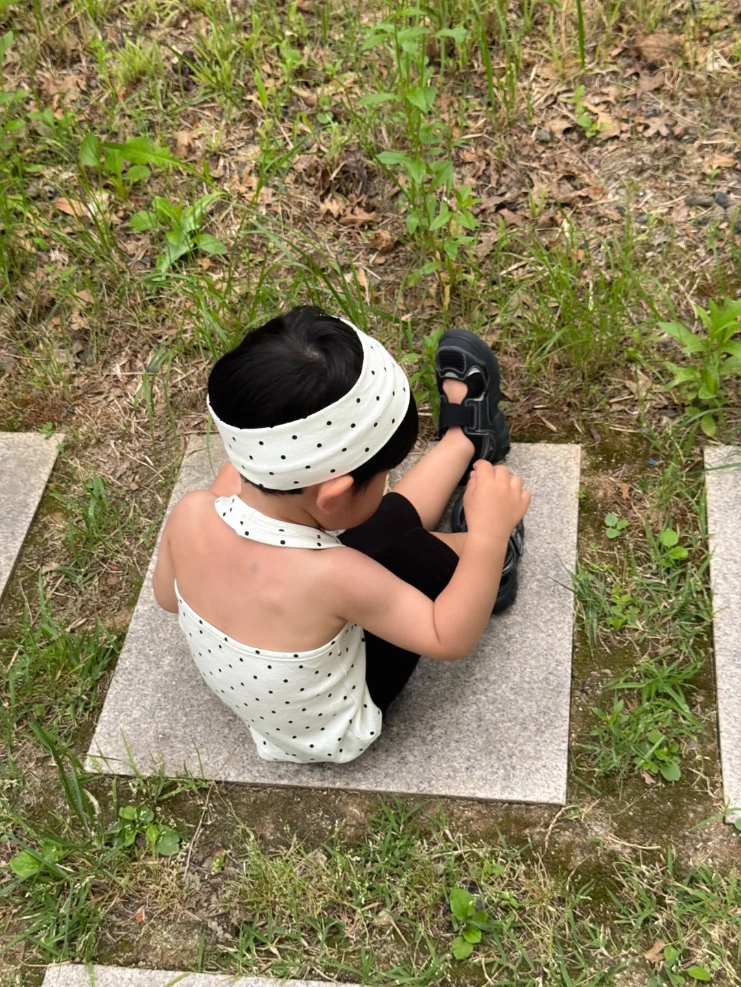 HSE프로그램 5