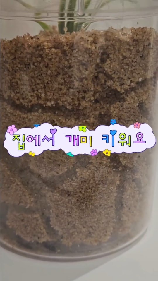 핵심 종목 분석자료