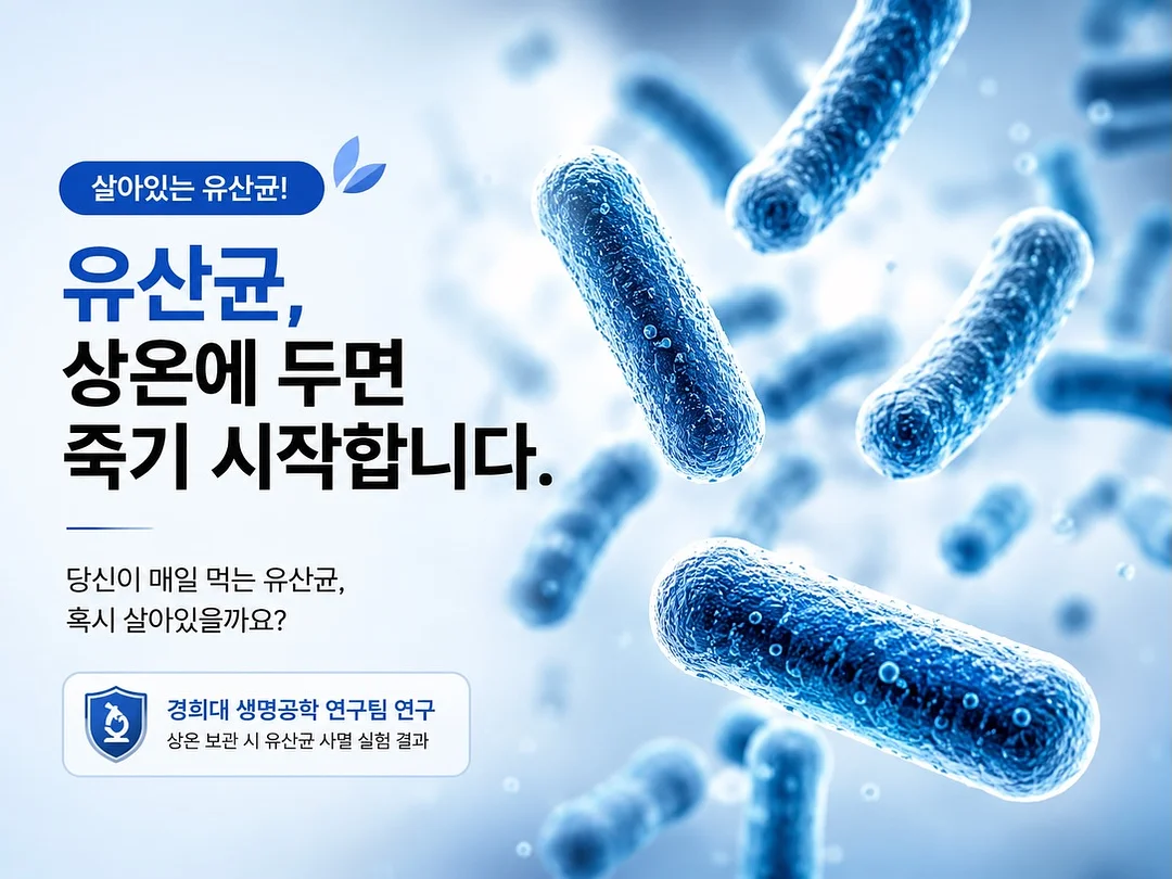 닭띠 6월 운세 1