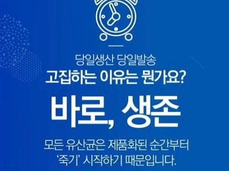 닭띠 6월 운세 4