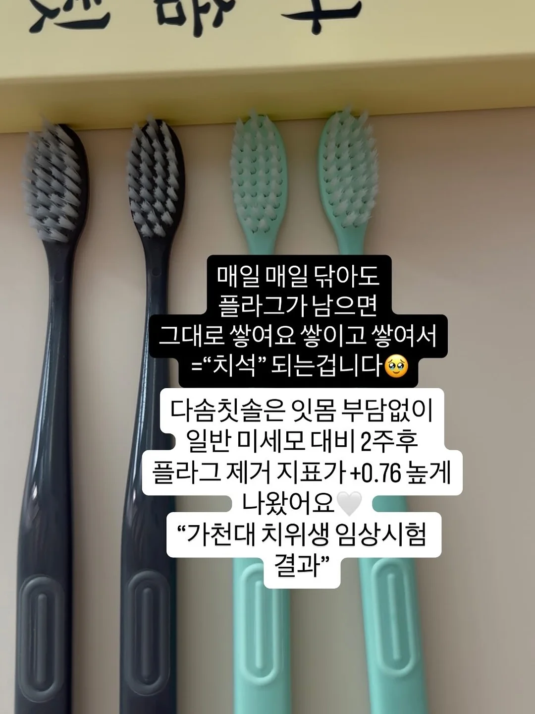 마이올 제주 숙소 8