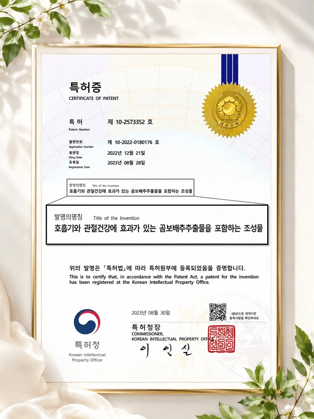 수영 특강 4