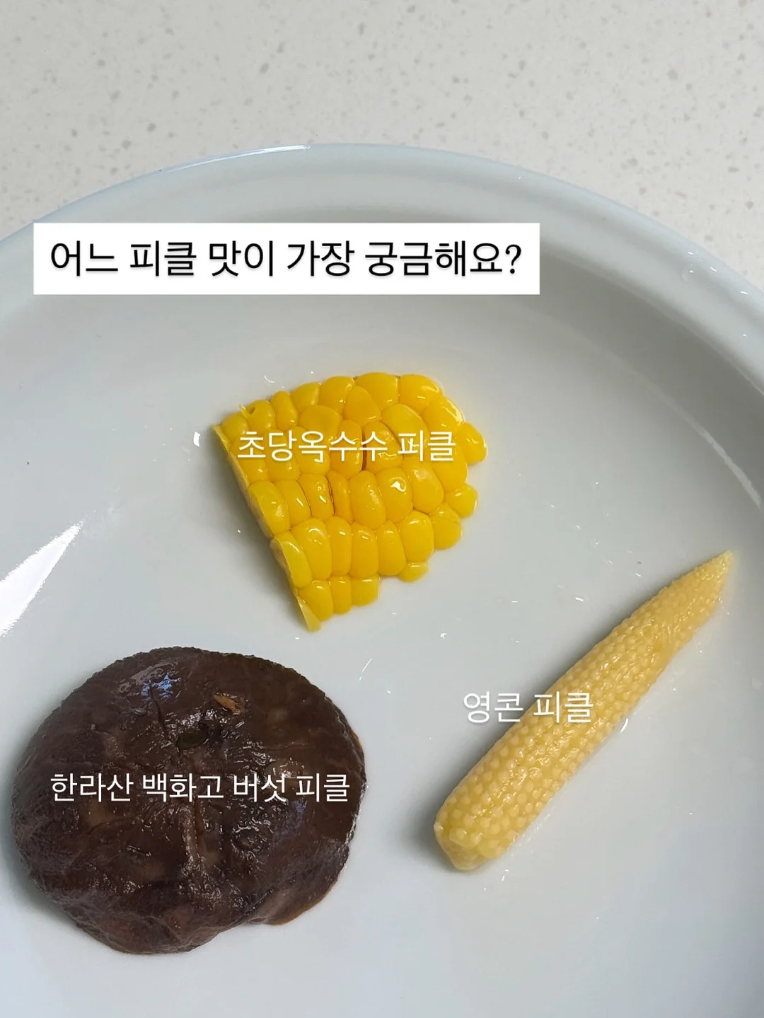 여름 신발 14