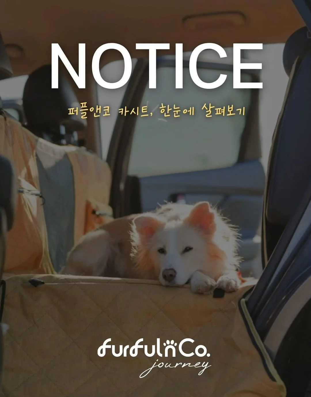 카네이션 꽃바구니 만들기 7