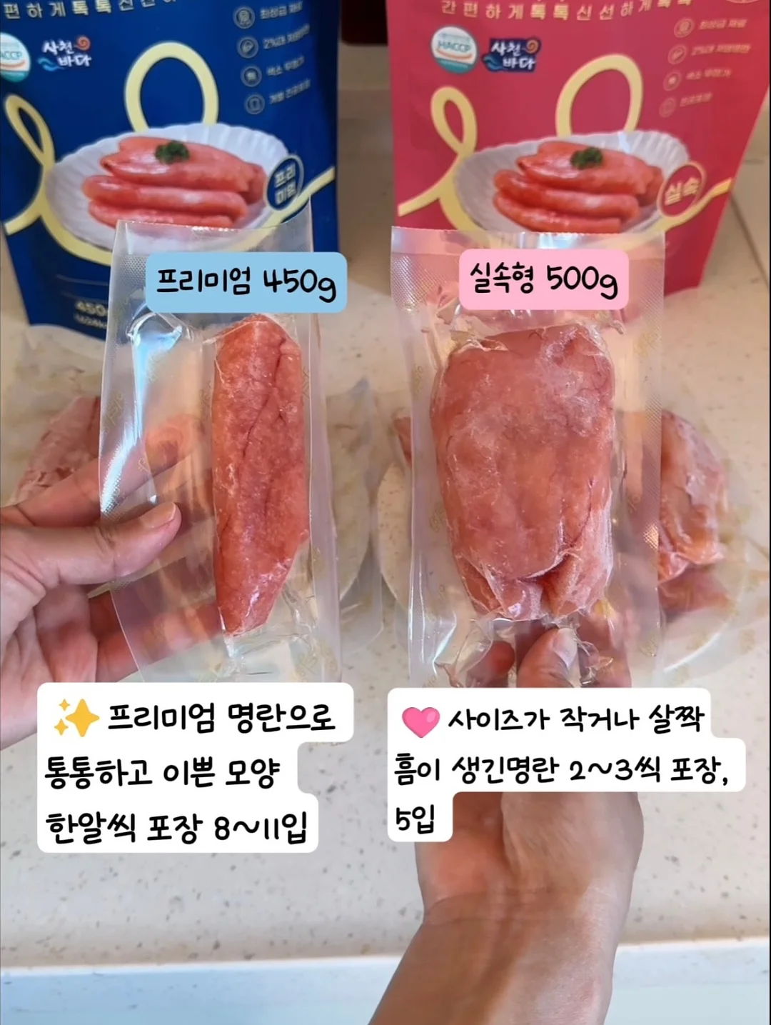 벌레잡는 식충이 화분 5