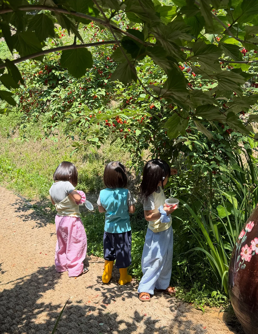 타미힐피거 카라 반팔티 3