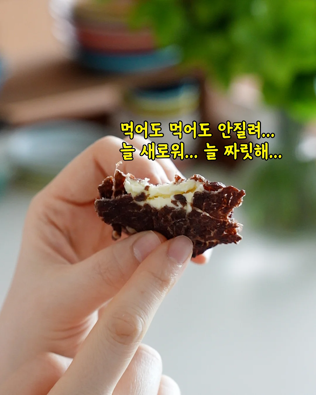 나의 자연 수첩 2