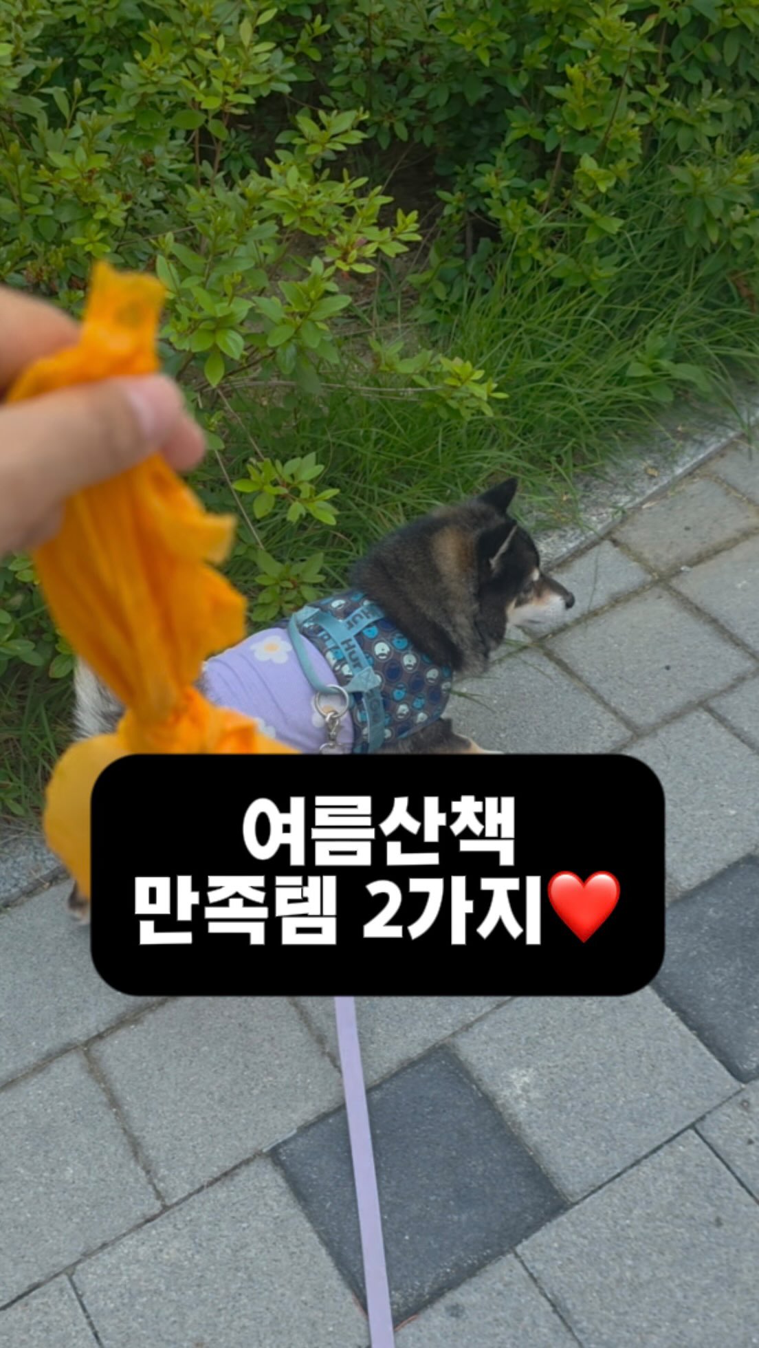 썸머 키티네일