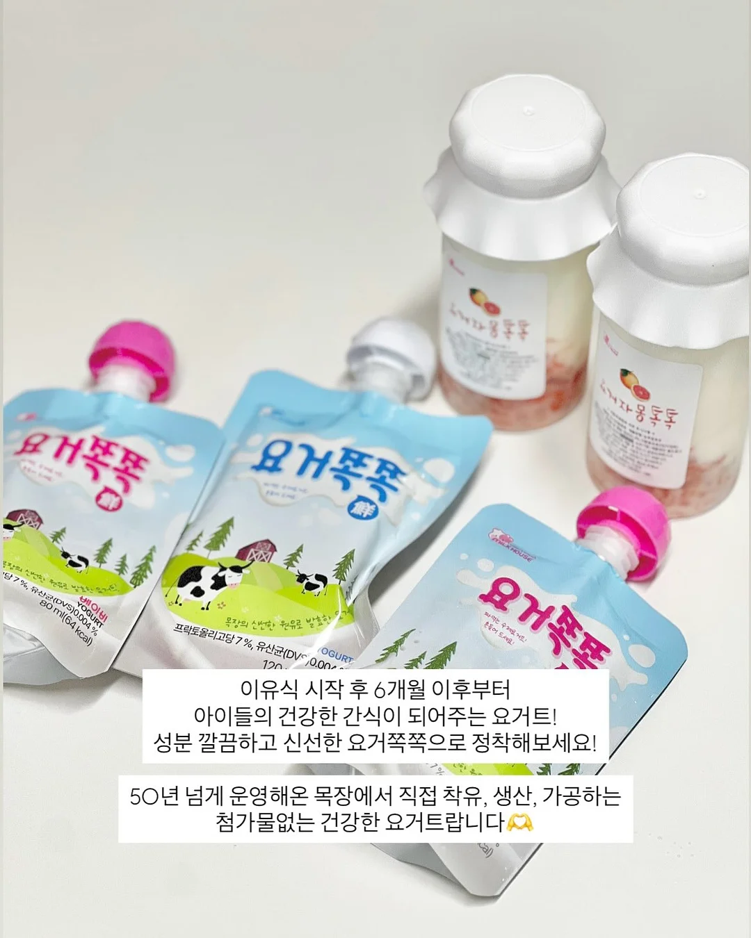 망고케익 홍차자몽케익 3