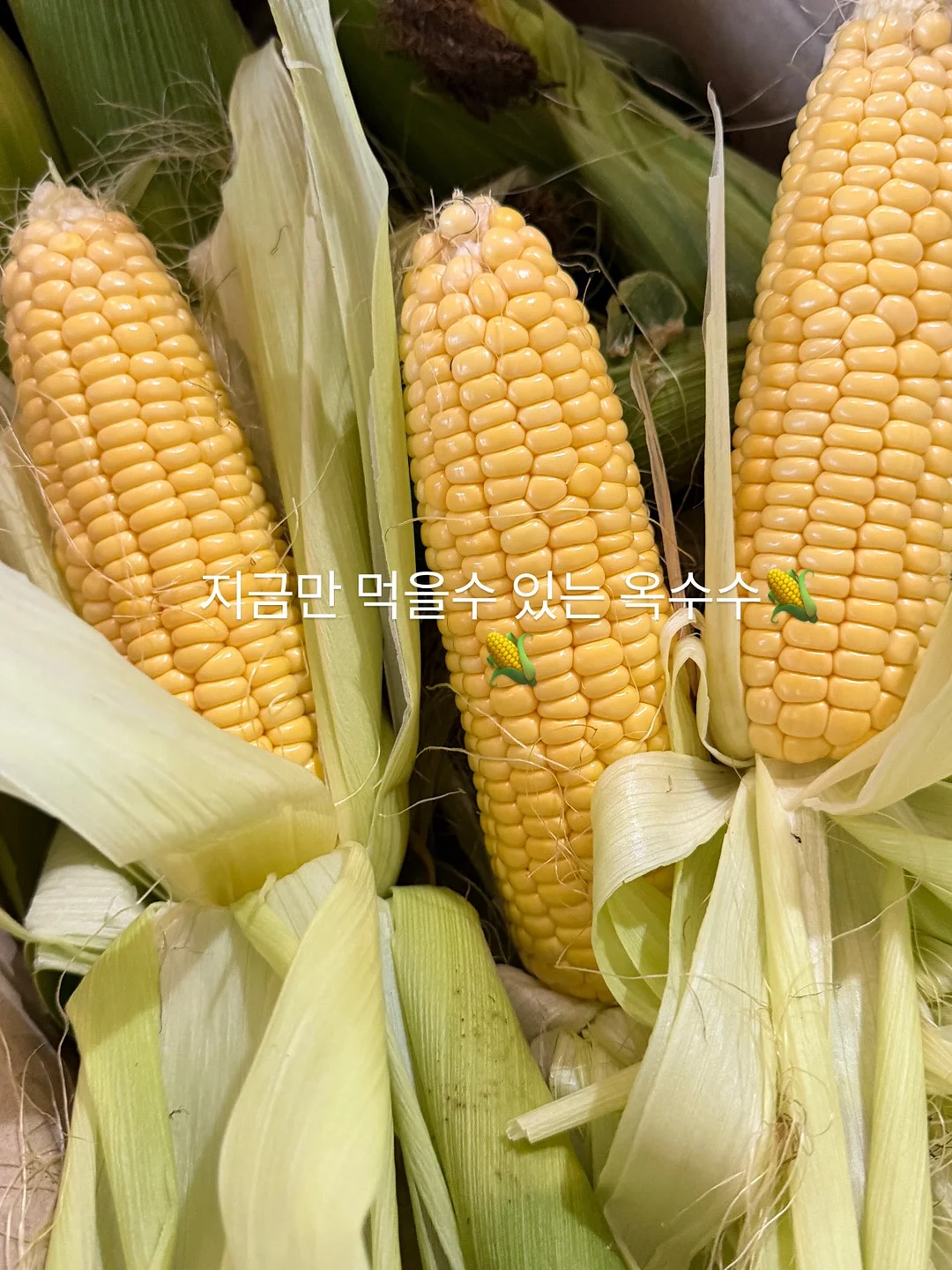 바닐라버니 양말세트 1