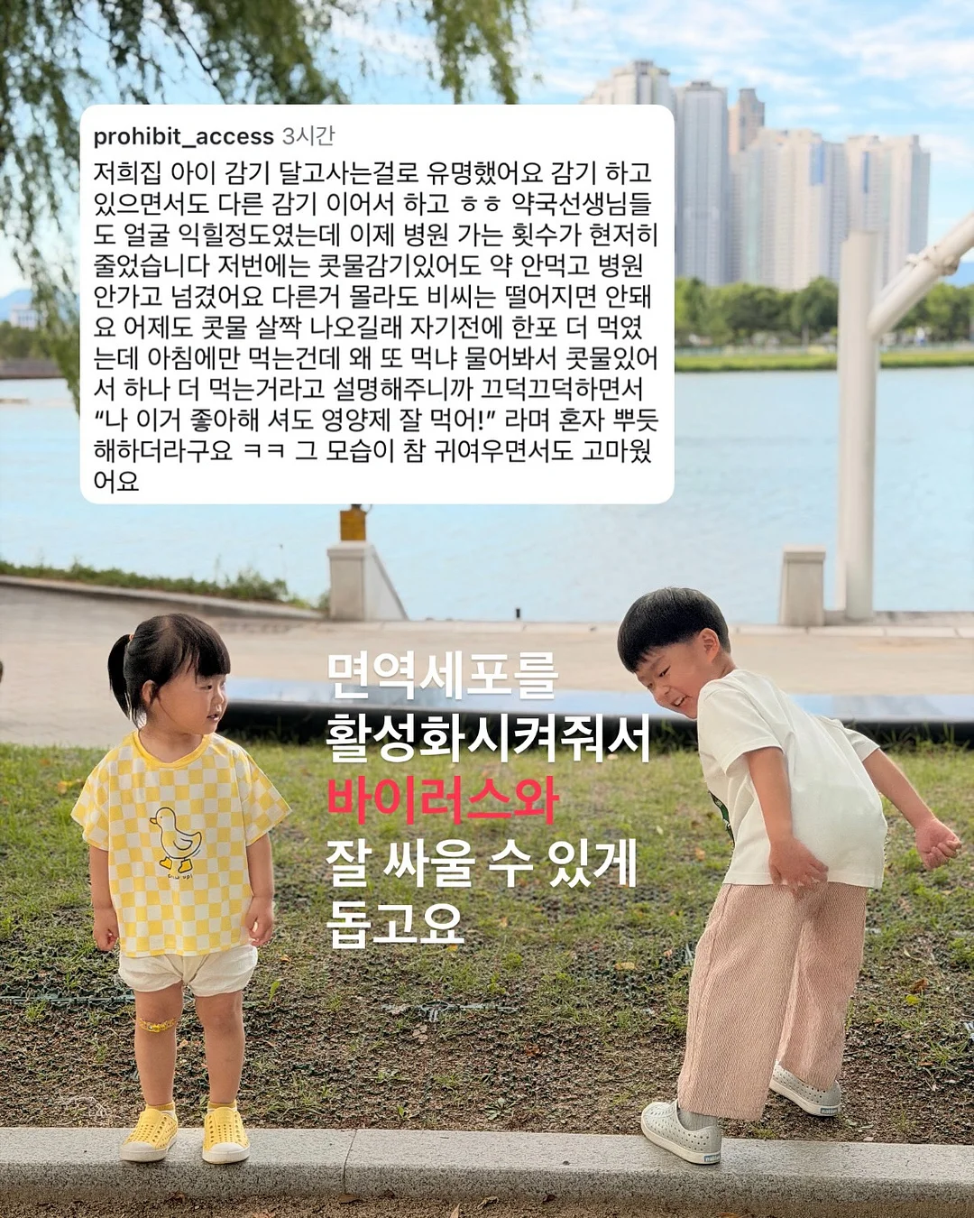 털 관리 제품 19