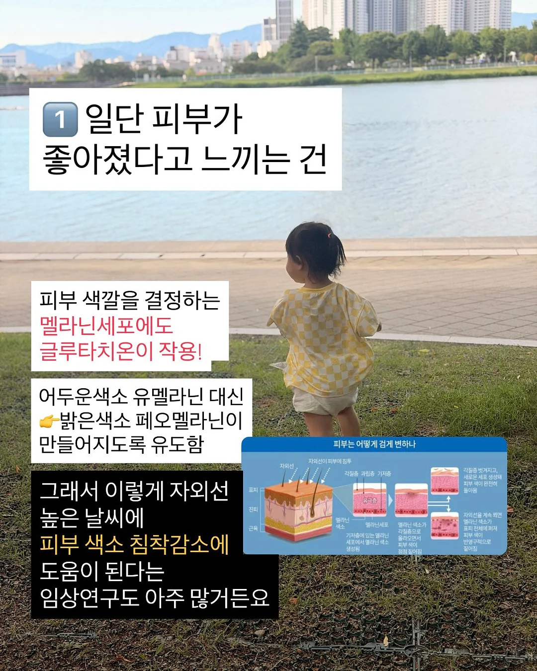 털 관리 제품 3