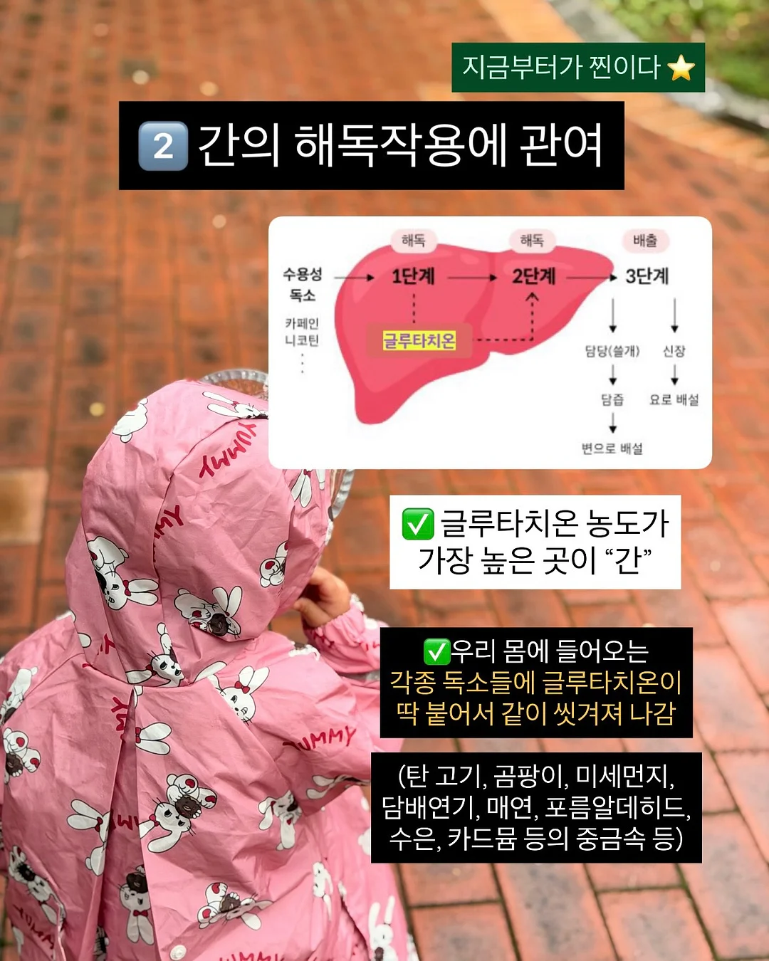 털 관리 제품 4