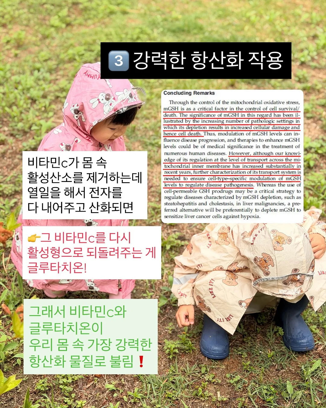 털 관리 제품 7