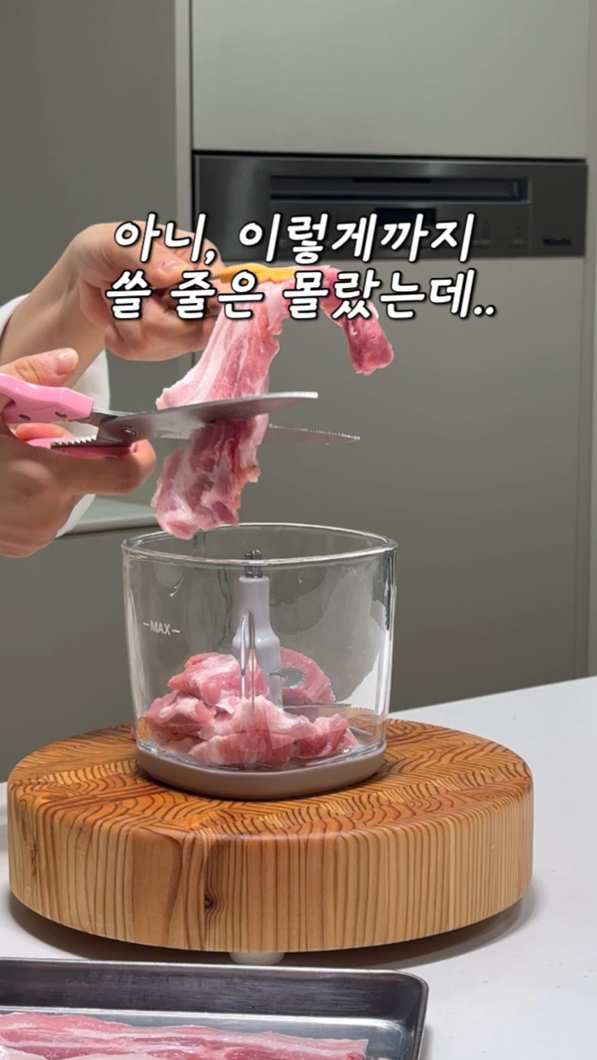 니키 슈나우저 키링