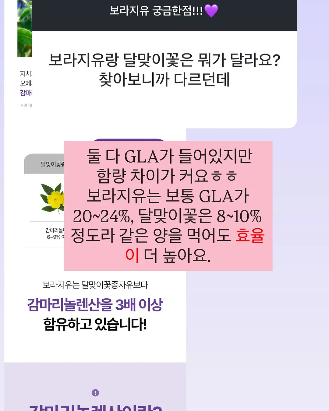 반팔 12