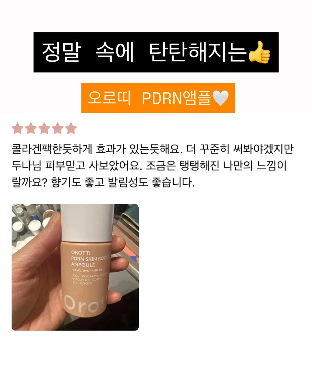 Violette 비올레트 케이크 4