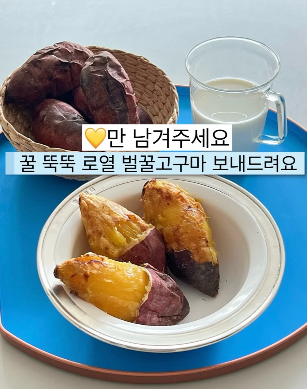 새턴버드 콜드브루 1