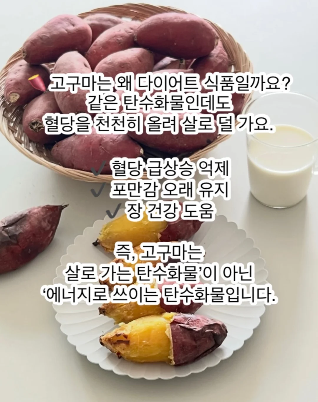새턴버드 콜드브루 7