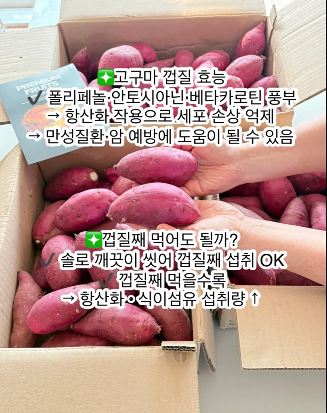 새턴버드 콜드브루 8
