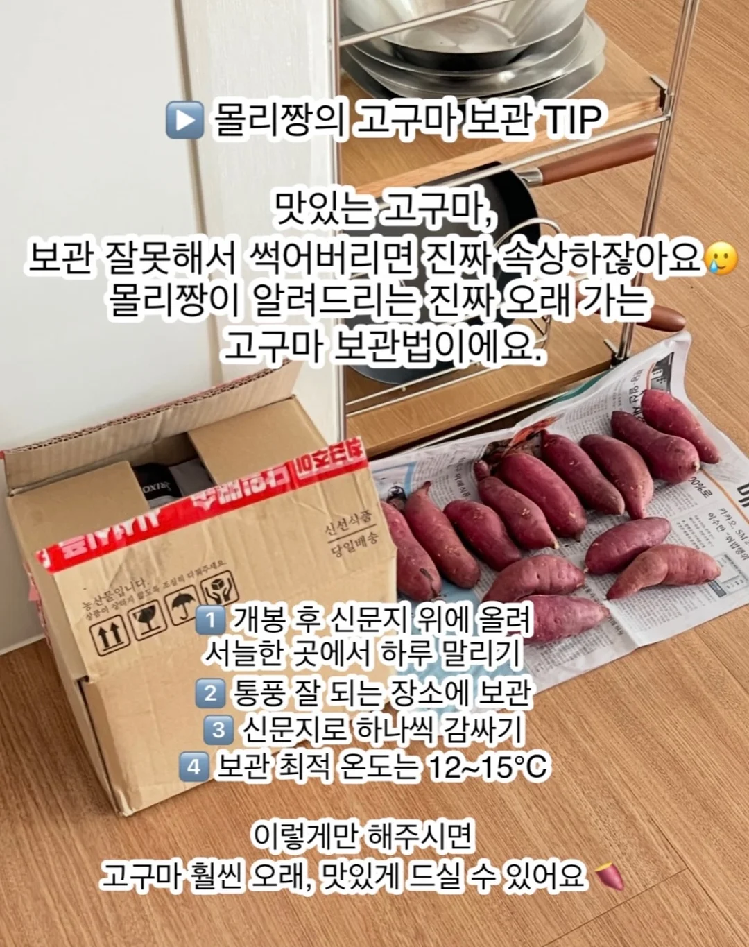 새턴버드 콜드브루 9