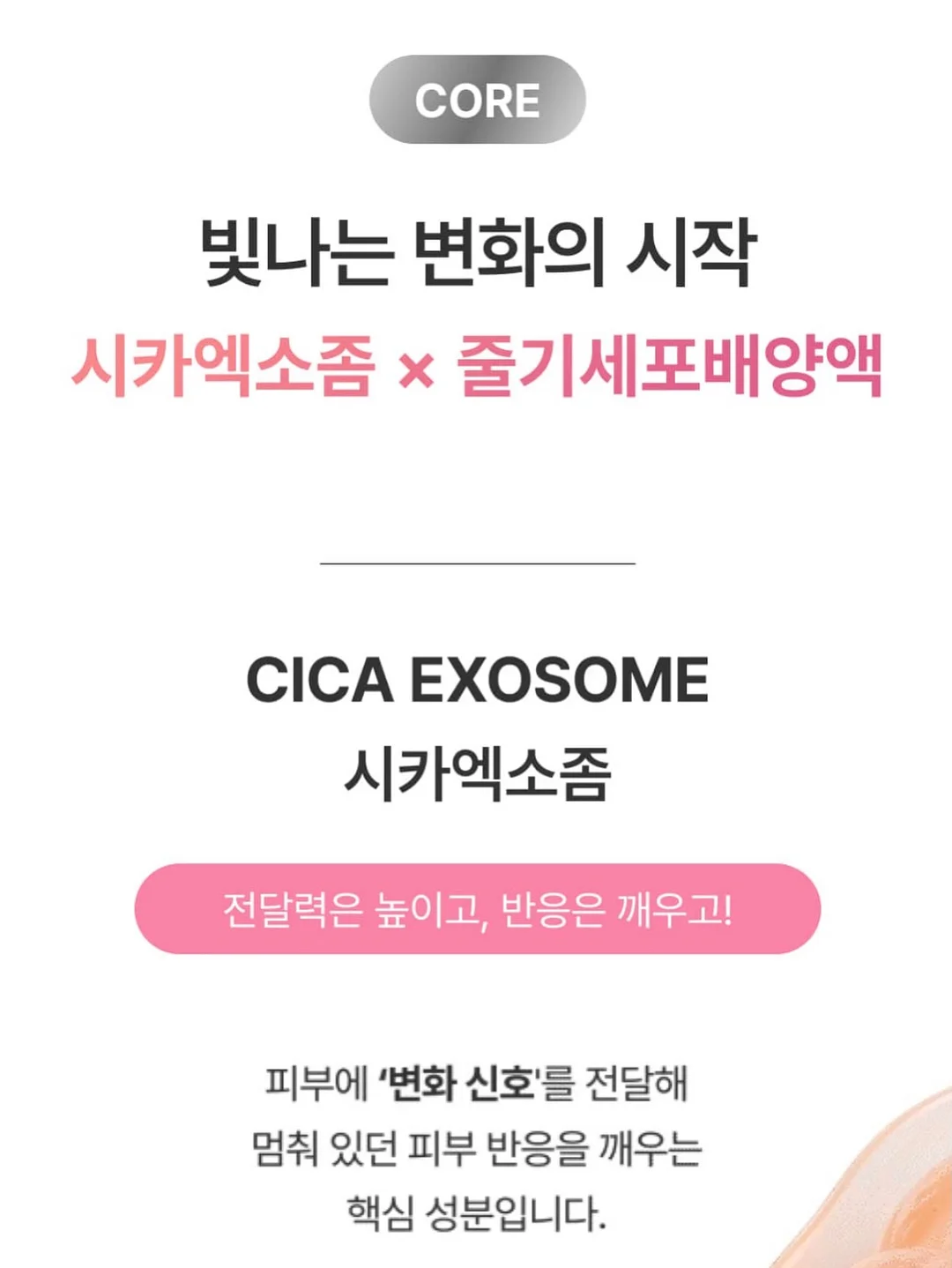 닥스퍼피 탱크탑 슬리브리스 8