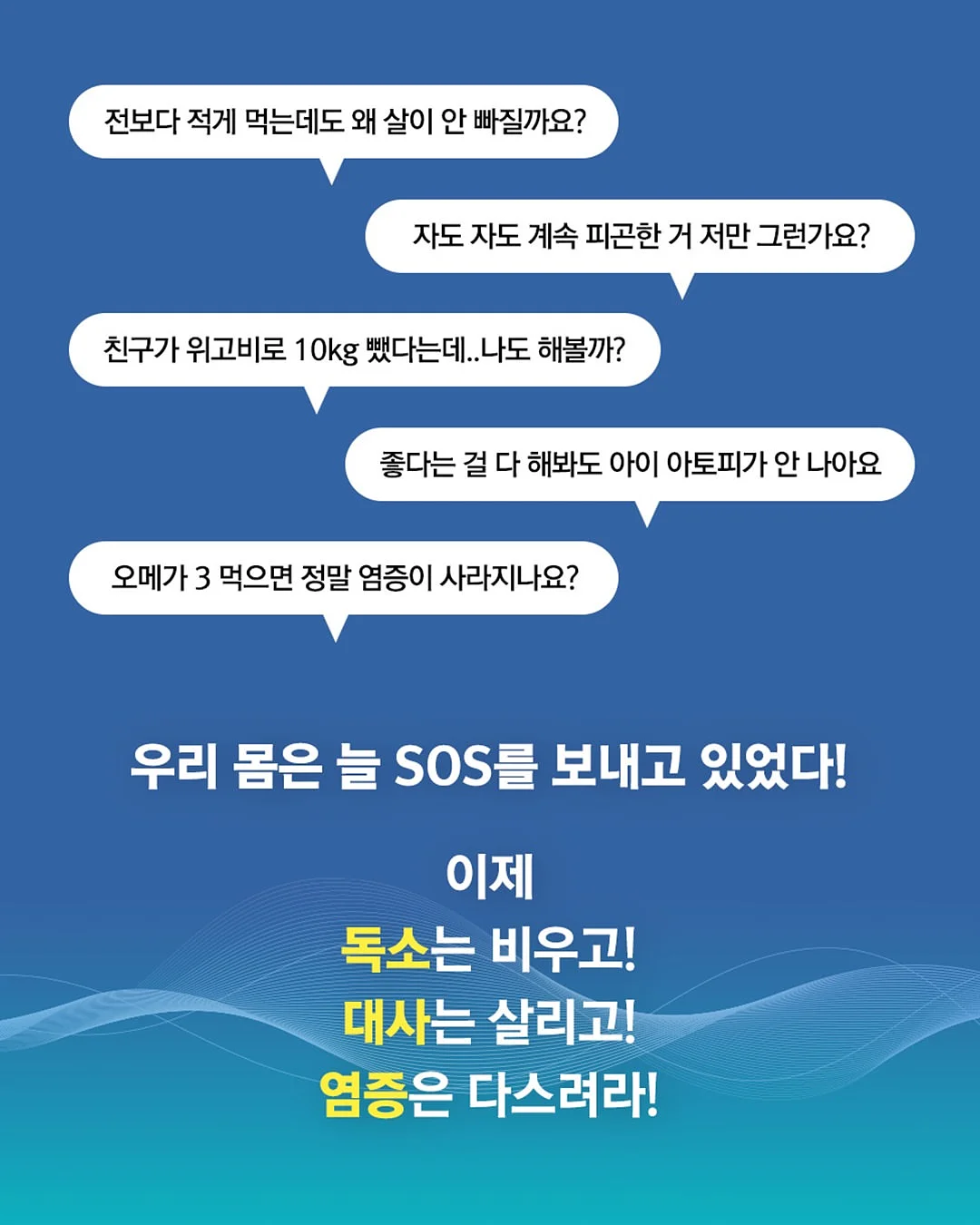 천연발효빵 2