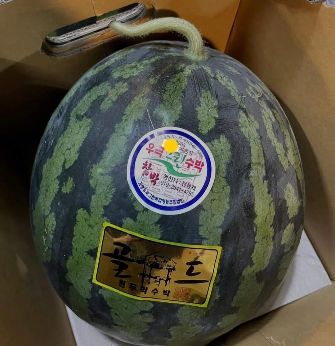 세일상품