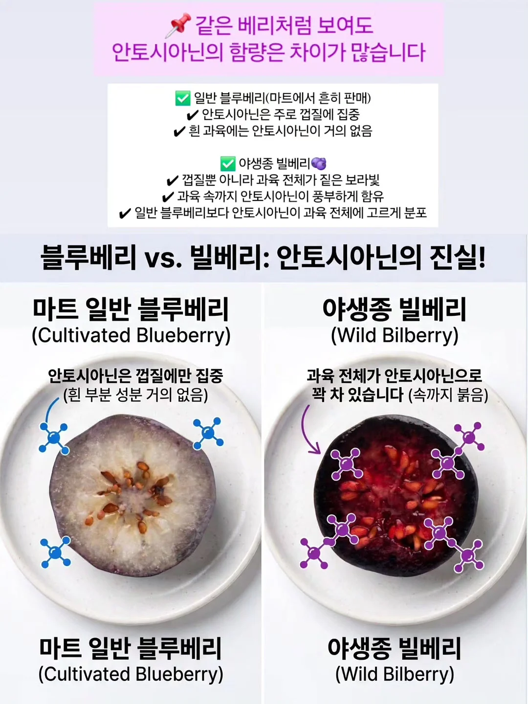 Dear.Heart 후원팔찌 9